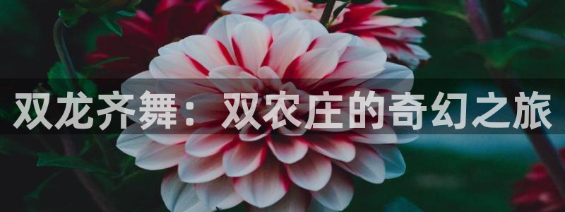 九游会阿里28