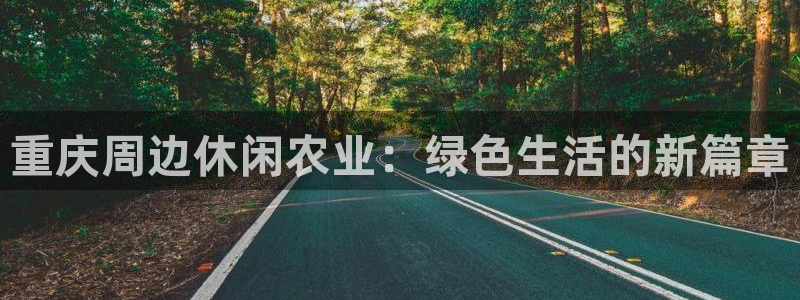 九游会j9官方入口