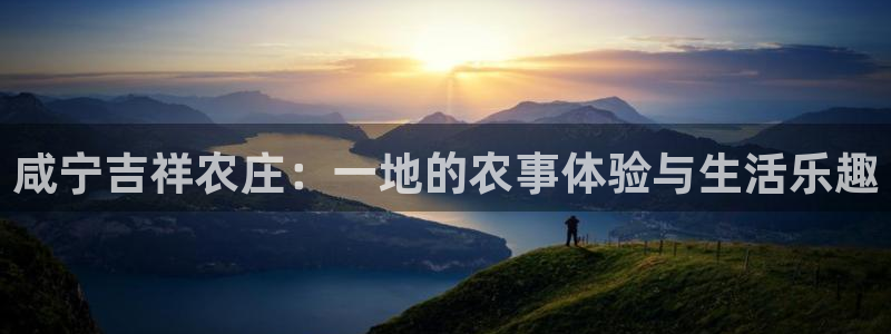 a九游会