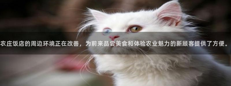 九游会论坛