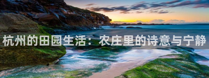 九游会亚游
