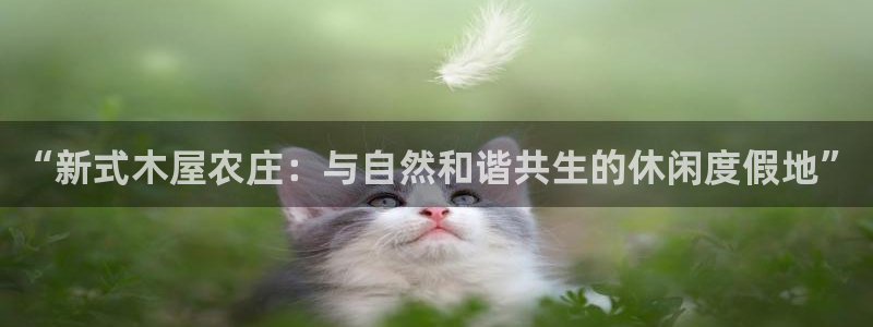 九游会论坛