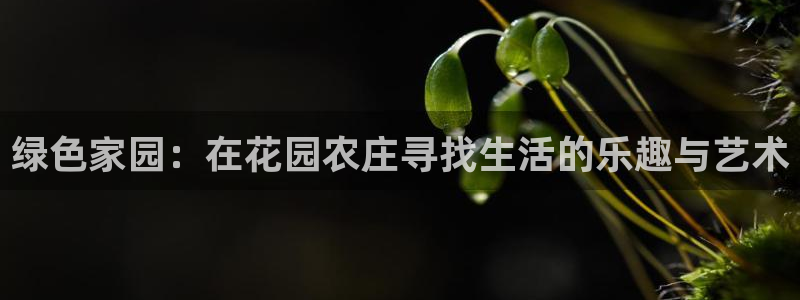 jy九游会老版
