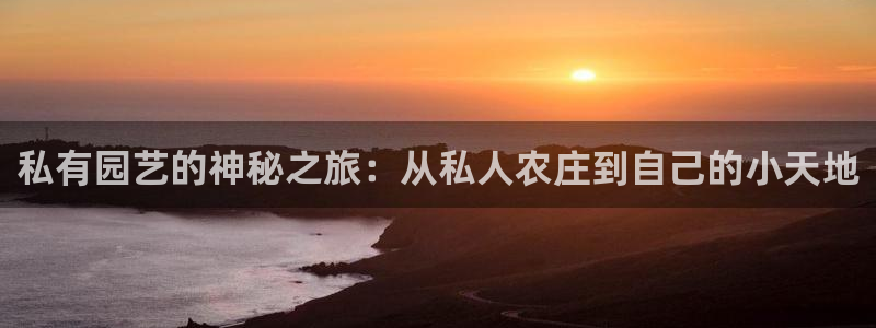 九游会体育网址