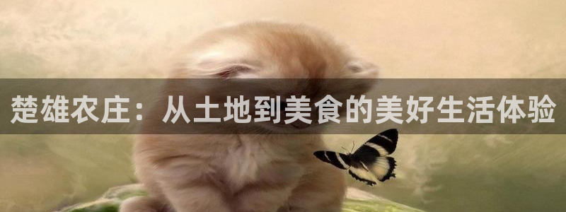 九游会的网站