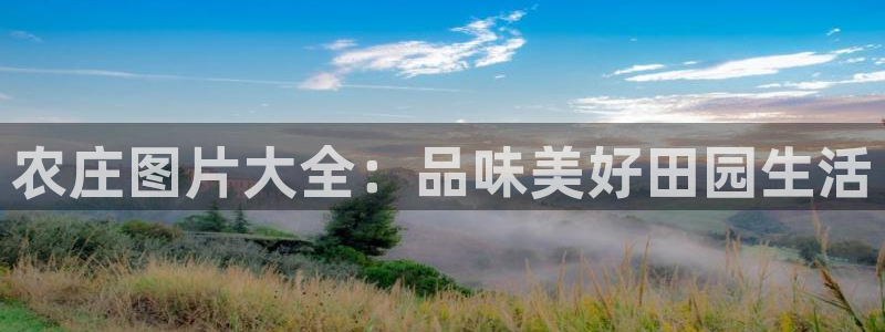 九曲灯游会介绍