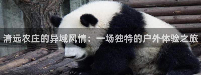 九游会体育下载安装