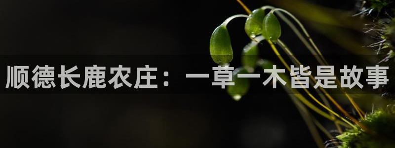 j9九游会官方