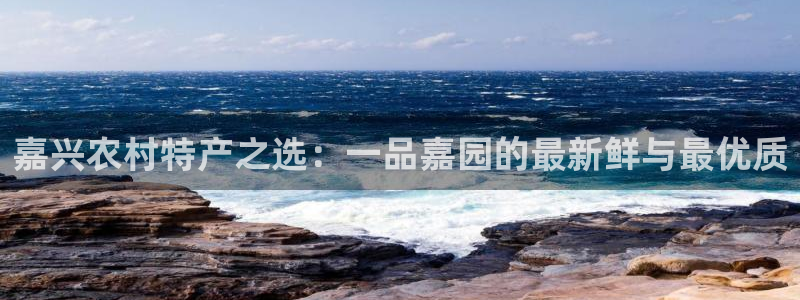 九游会旧版