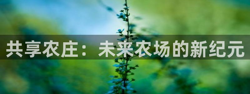 Google 九游会
