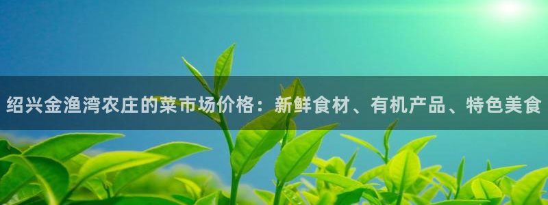 九游会街机