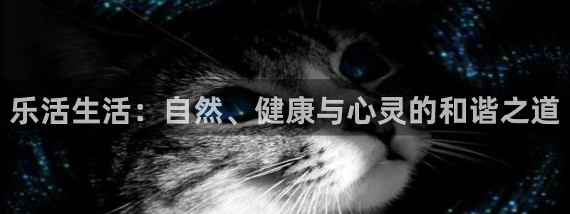 AG娱乐九游会j9