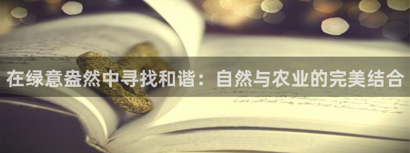 九游会公司介绍