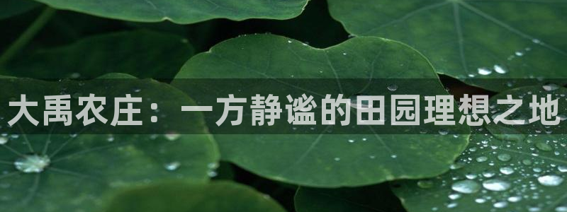 九游会ag真假