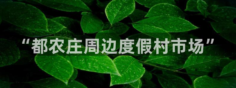九游会新版平台