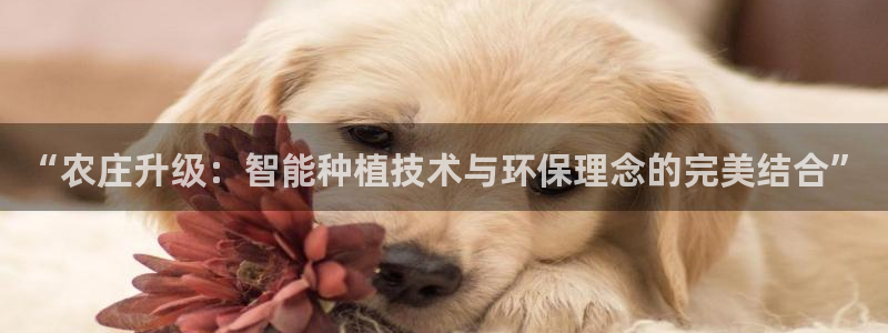 九游会3668