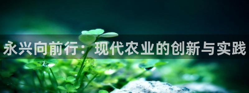 九游会网站赢了