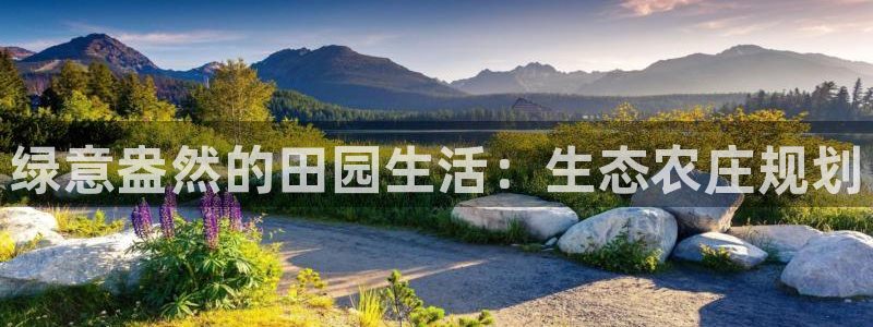 九游会体育app下载