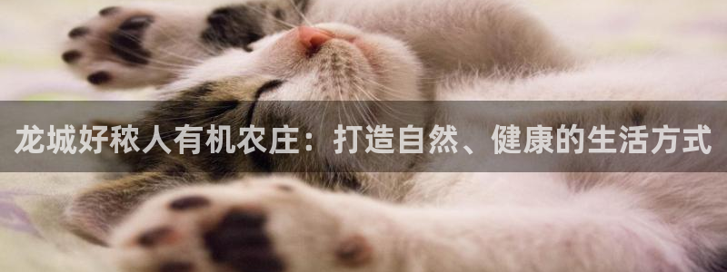 ag九游会老哥