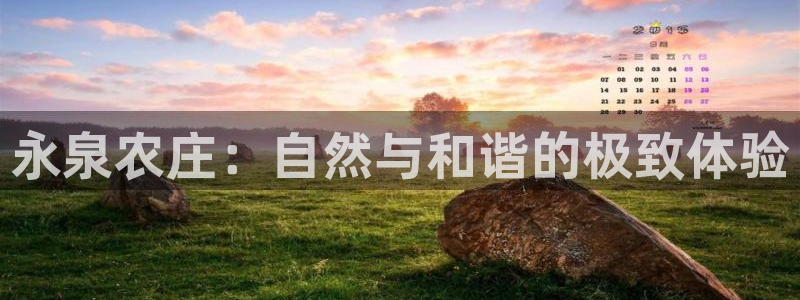 曝光九游会