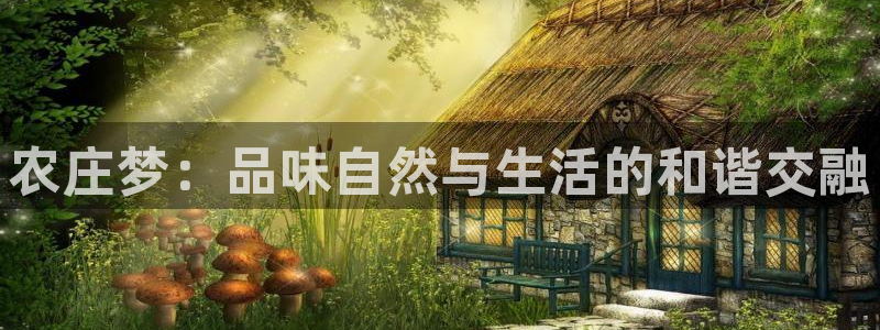 九游会手机版