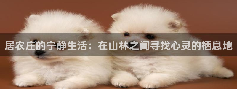 九游会ag下载