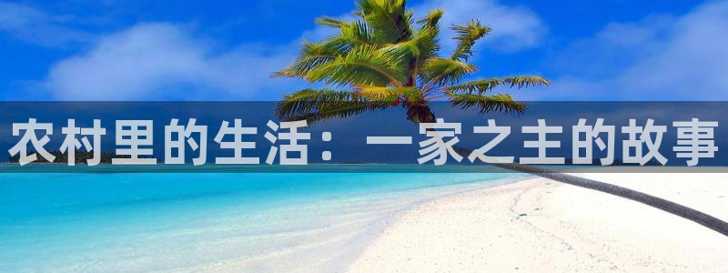 usdt九游会