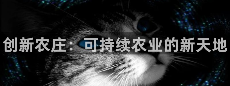 九游会积分王