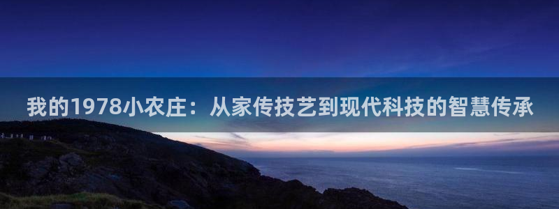 凯时和九游会