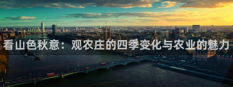 九游会亚洲集团