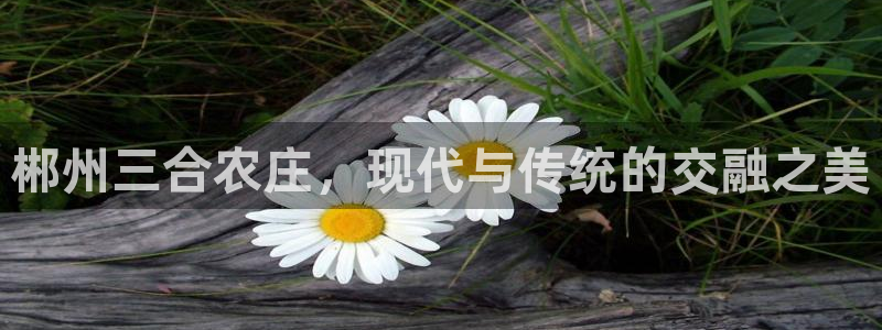 九游会官方网站中心