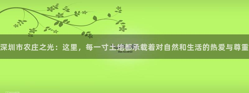 ag9九游会