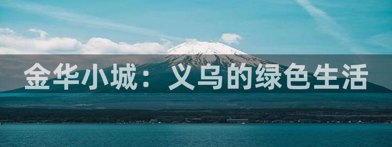 九游会亚洲公司