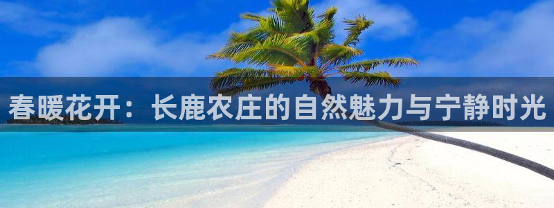 九游会dg