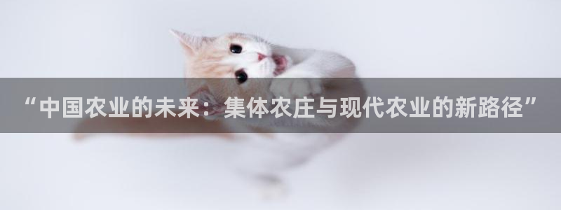 九游会百家号