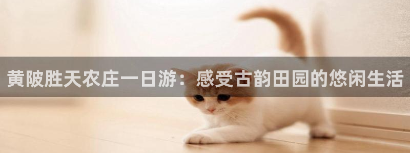 九游会杀猪