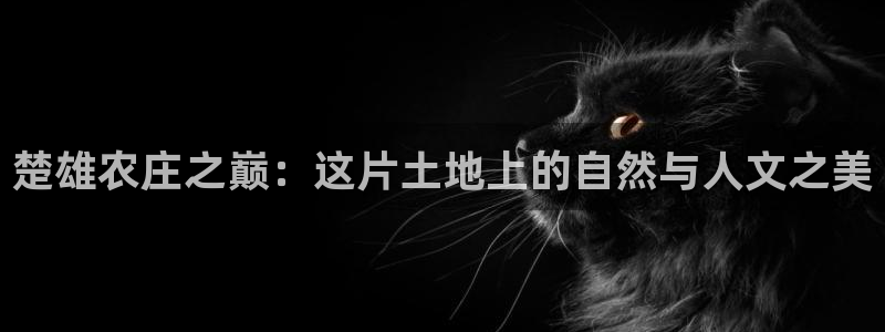 j9九游会ag
