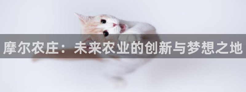 九游会官网真人
