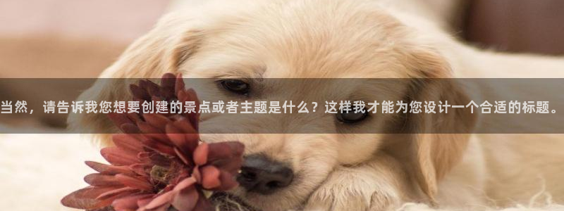 九游会啊