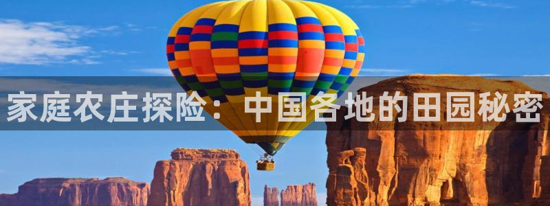 九游会ag真假