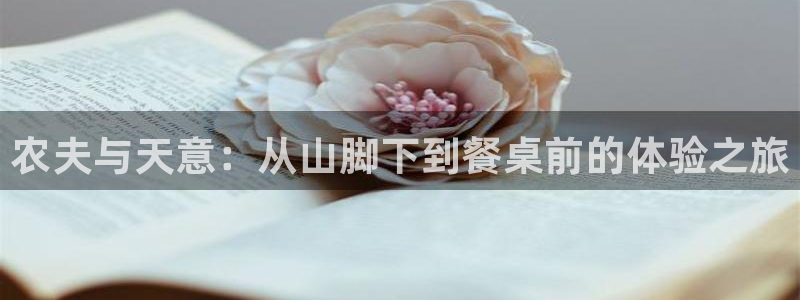 九游会j 9