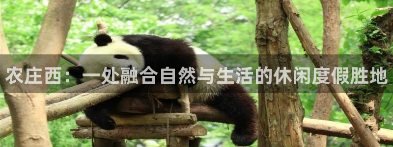 九游账号重复申诉会怎样