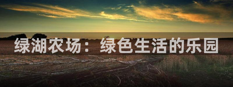 j9数字货币九游会备用