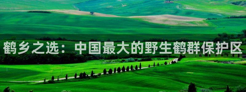 九游会jy