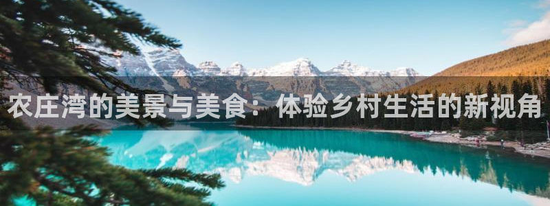 九游会赌钱