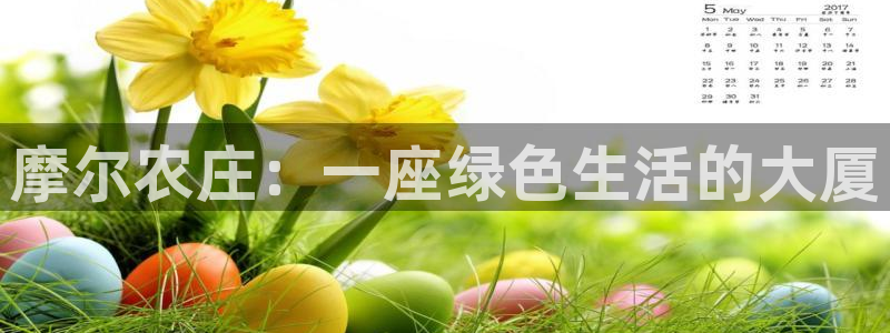 九游会官方正版下载安装