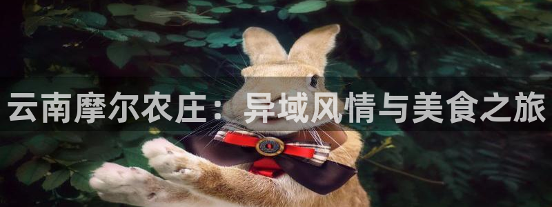 九游会网站网址