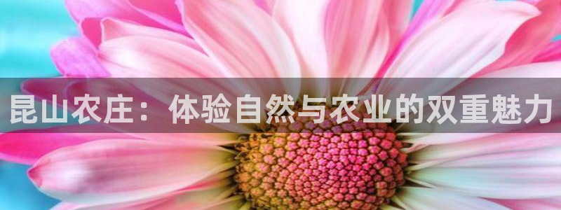 9九游会网站