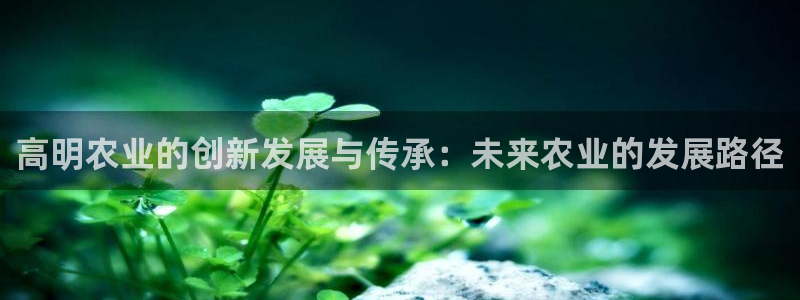 ag九游会官网下载