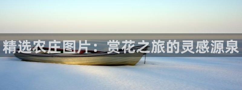 u九游会